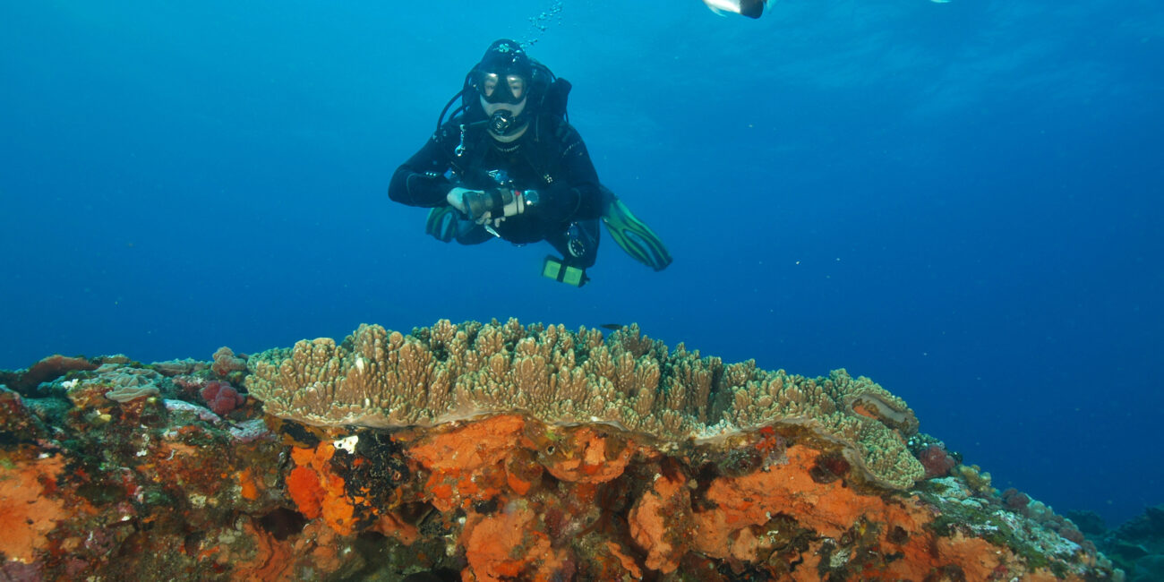 afrika, safari, afrikareise, afrikareisen, reiseziel, reiseziele, reisezieleafrika, südafrika, nashorn, nashörnerAbsolut Scuba GmbH & Co KG Eichenweg 5 57629 Dreifelden info@as-tauchreisen.de www.as-tauchreisen.de