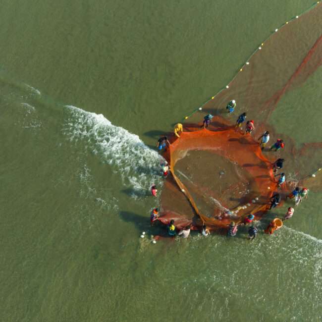 Fischer in Cox’s Bazar, Bangladesch, ziehen gemeinsam ein großes Fischernetz aus dem Meer