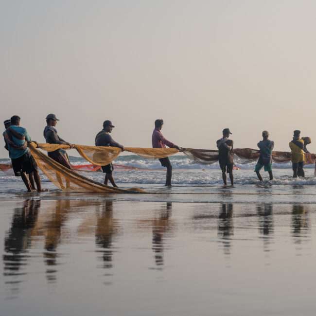 Fischer in Cox’s Bazar, Bangladesch, ziehen gemeinsam ein großes Fischernetz aus dem Meer