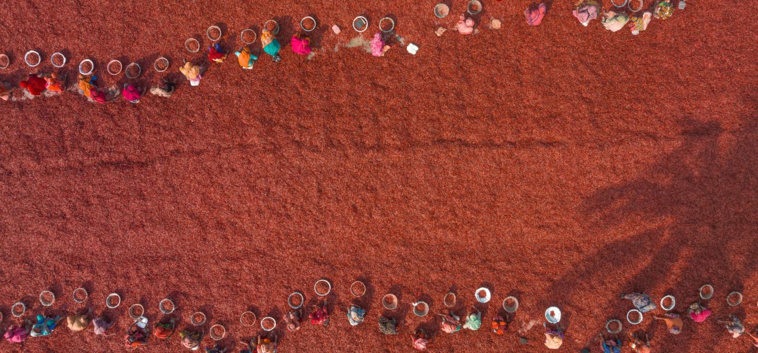 Luftaufnahme von Arbeiterinnen in Bangladesch beim Trocknen roter Chilis unter freiem Himmel