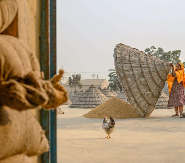 Frau in Bangladesch hebt traditionellen Korb zur Reistrocknung auf einem Hof mit Reishaufen und Hühnern